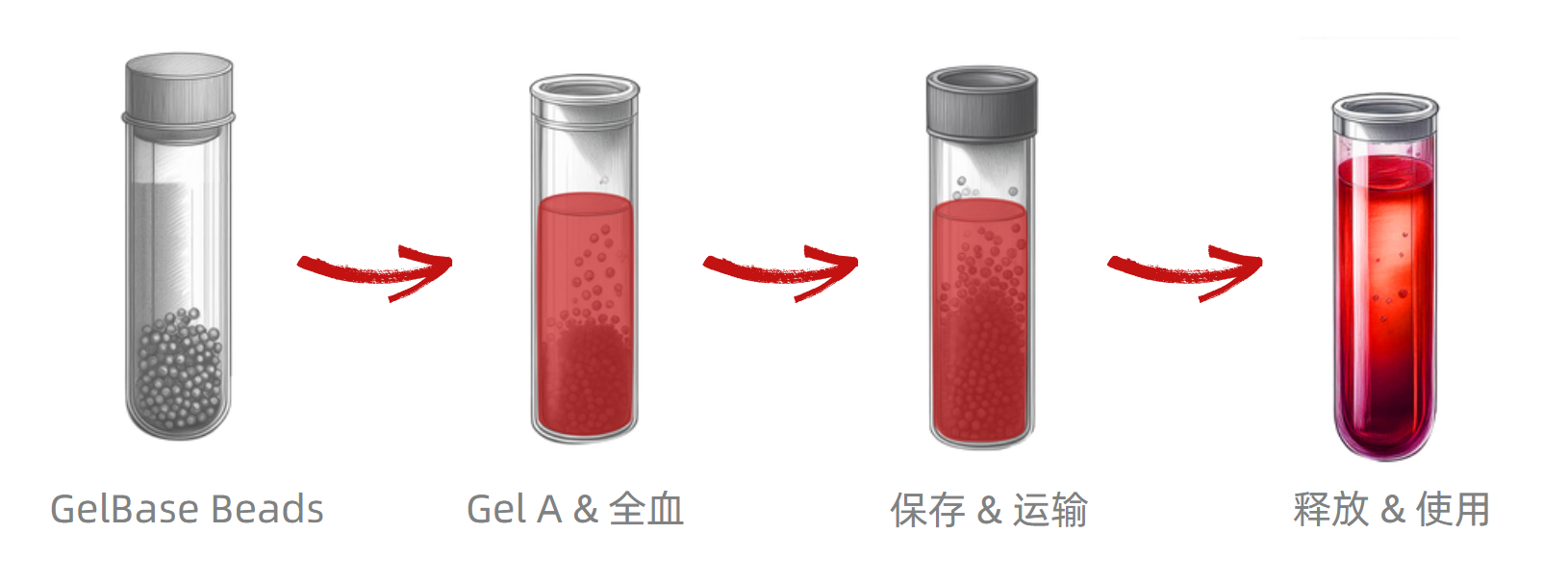 Bloodready Kit内容物