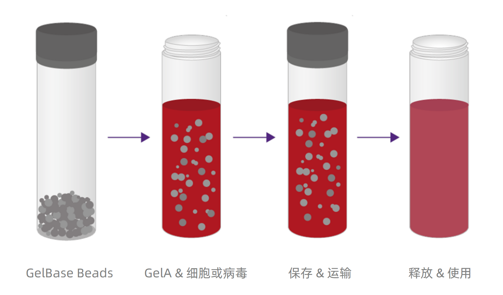 CytoStor Kit内容物