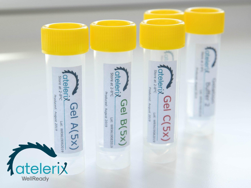 WellReady-Well Cardiomyocyte （24/48/96/384-well）