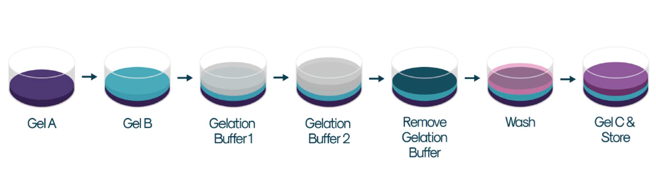 WellReady Kit内容物