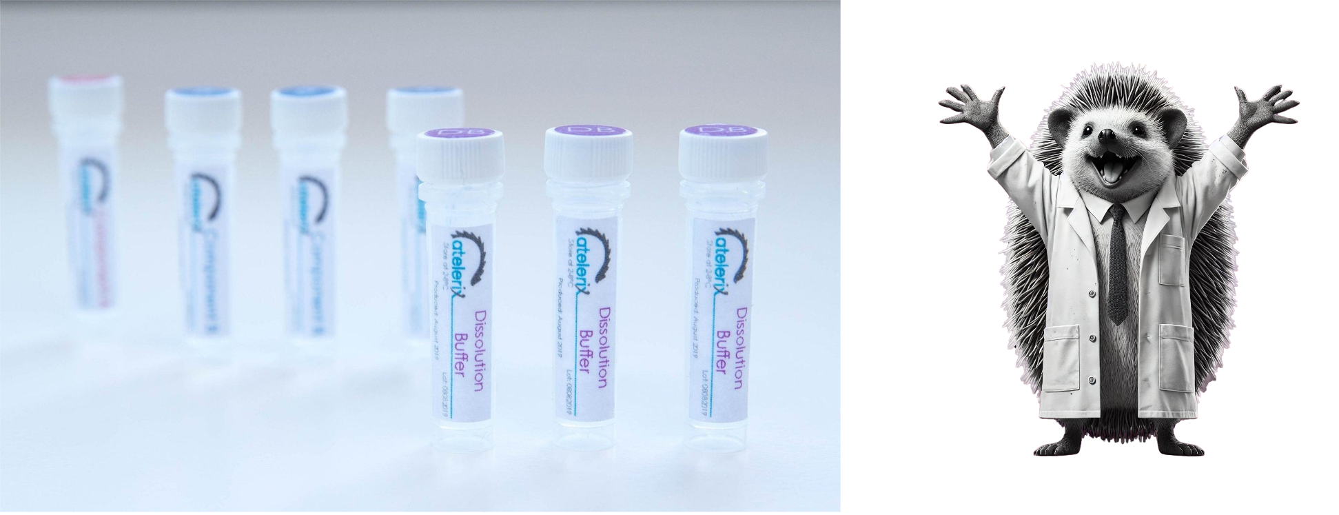 Atelerix常温保存凝胶及刺猬吉祥物