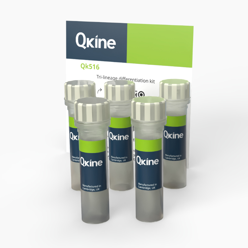 Qkine的三系分化试剂盒(Qk516)