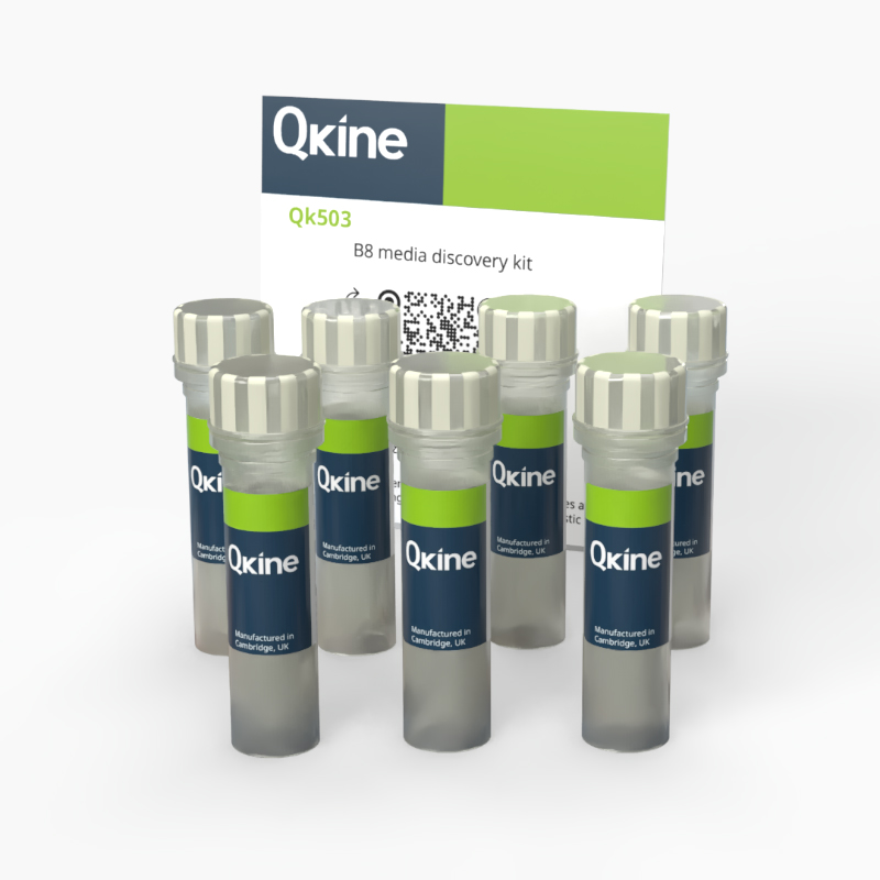 Qkine的B8培养基开发套件(Qk503)