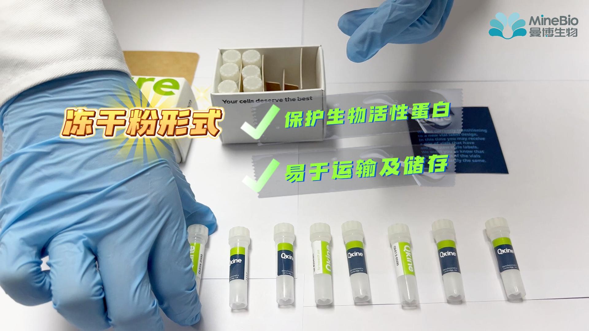 【开箱特辑】Qkine：一款高生物活性的重组细胞因子