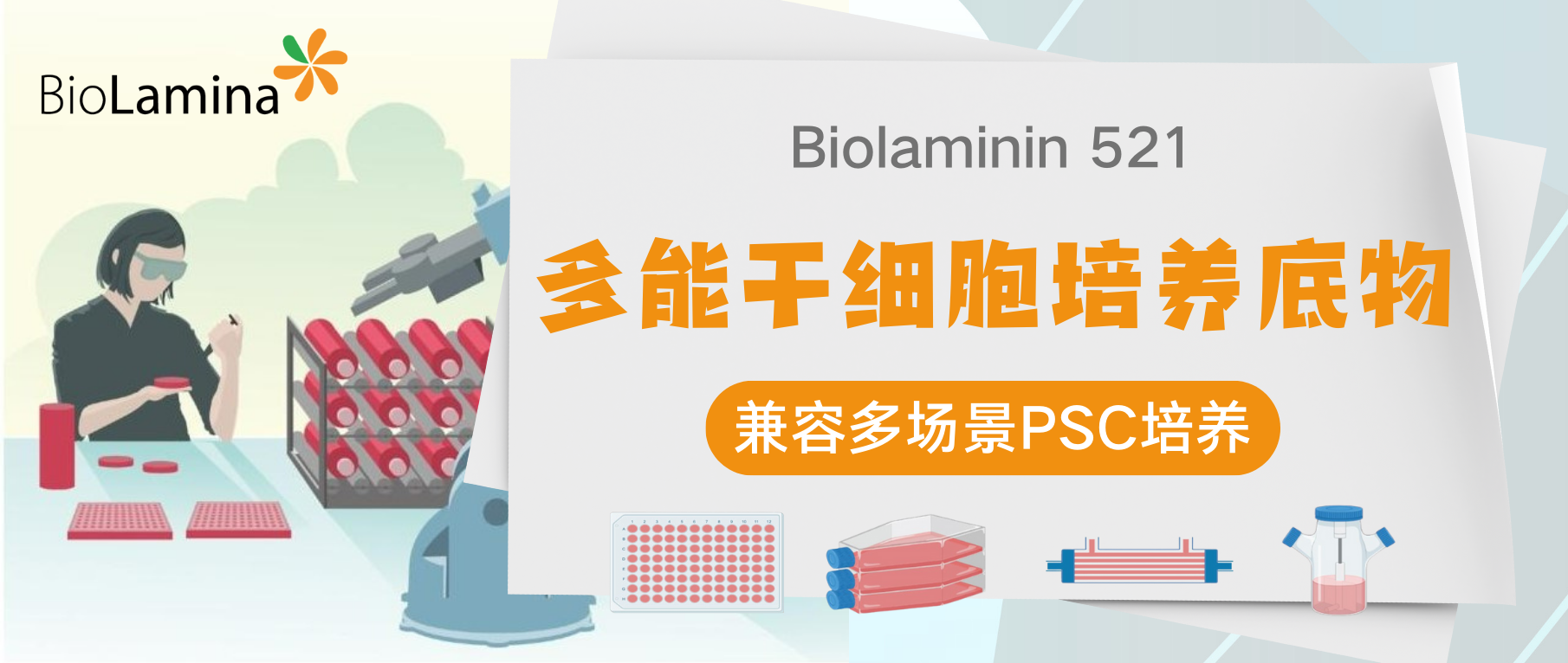 Biolaminin 521：多场景适配的多能干细胞 (PSC) 培养底物