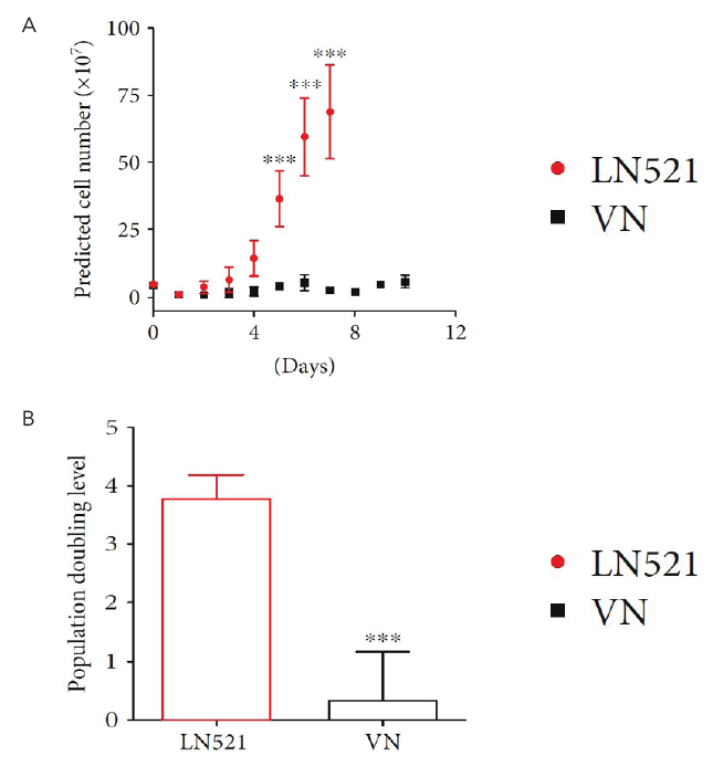 LN521包被中空纤维柱细胞产量倍增