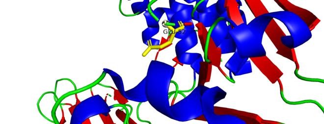 CRM197白喉毒素无毒突变蛋白