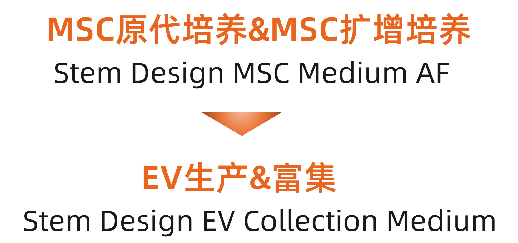 Solallis-MSC扩增及其外泌体生产和富集