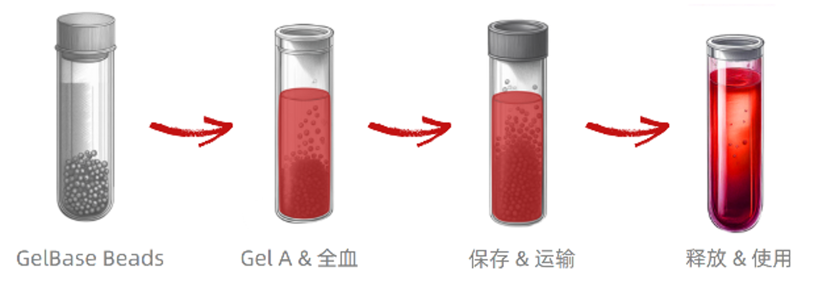 BloodReady产品使用流程