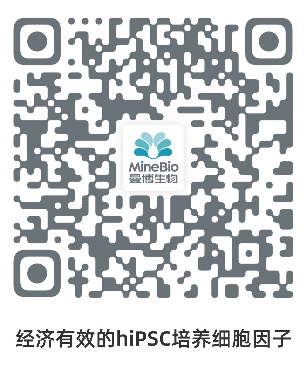 Qkine-经济有效的hiPSC培养细胞因子