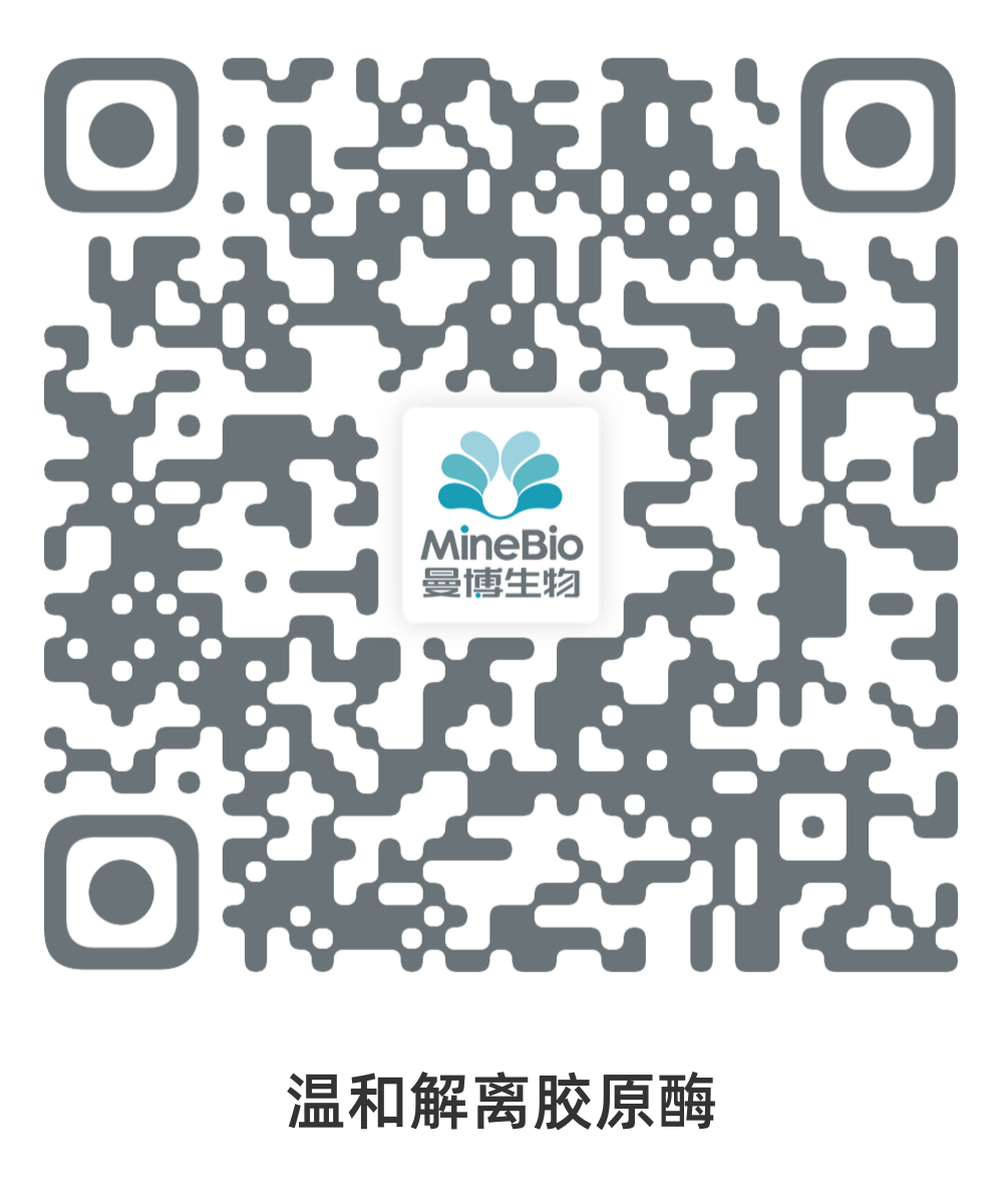 Nordmark-温和解离胶原酶