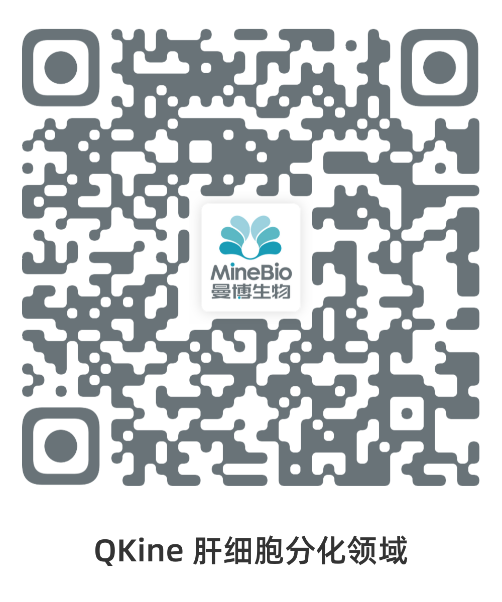 QKine-肝细胞分化领域