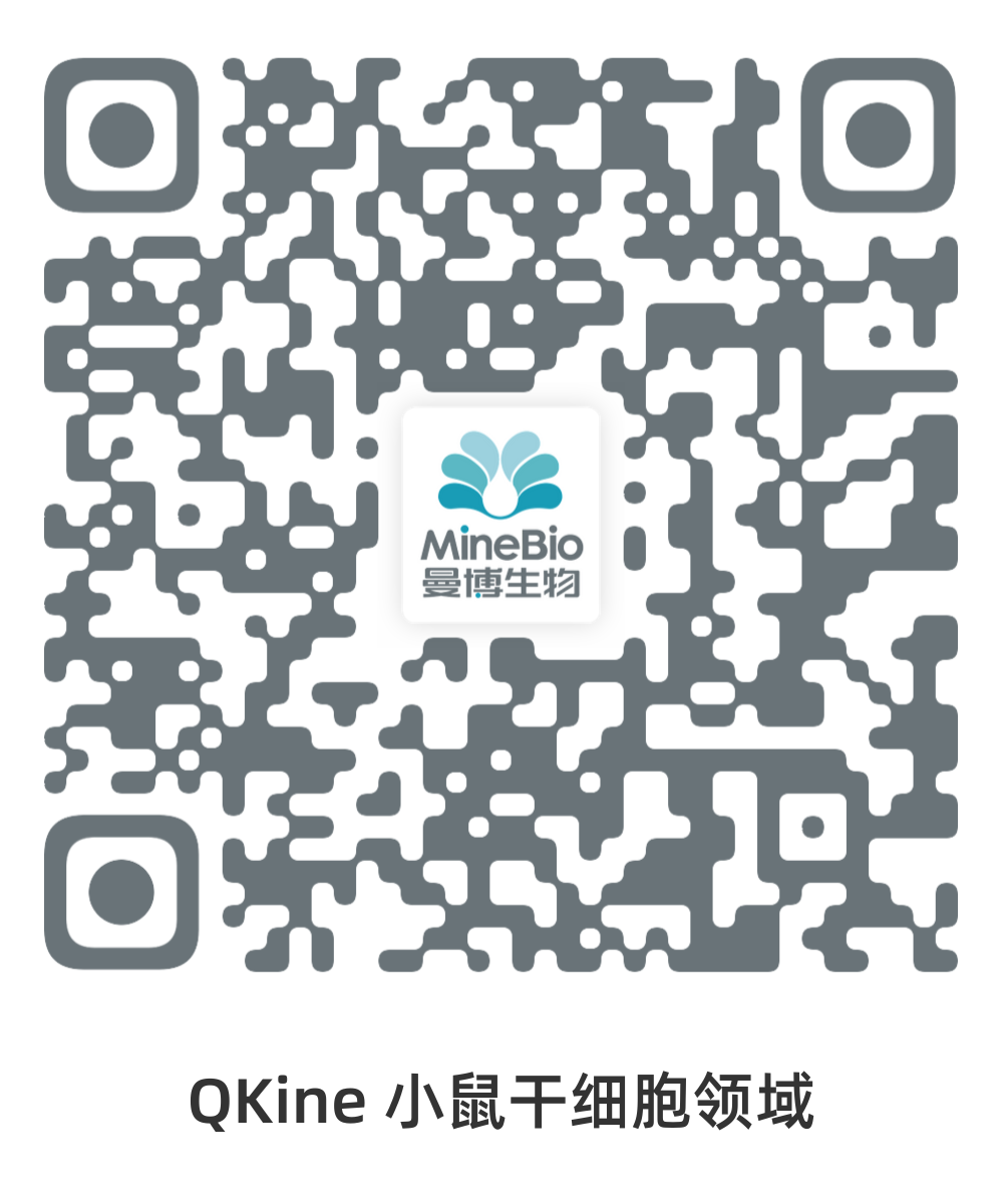 QKine-小鼠干细胞领域
