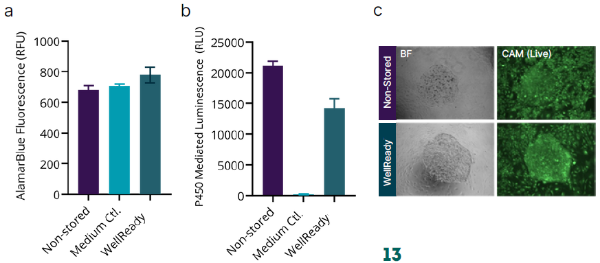WellReady对原代肝细胞保存的影响