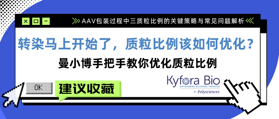 转染马上开始了，质粒比例该如何优化？曼小博手把手教你优化质粒比例