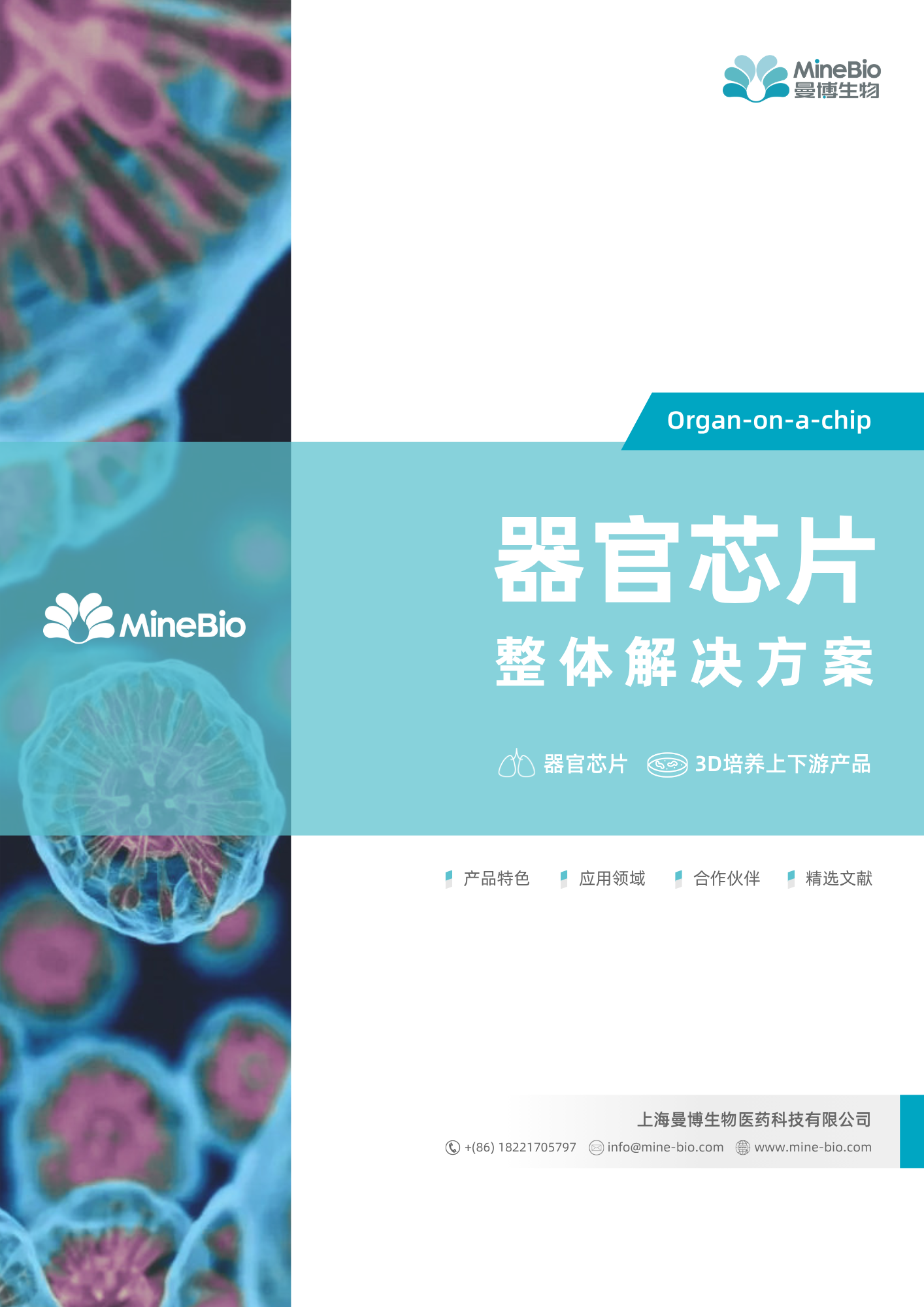 曼博生物器官芯片整体解决方案彩页