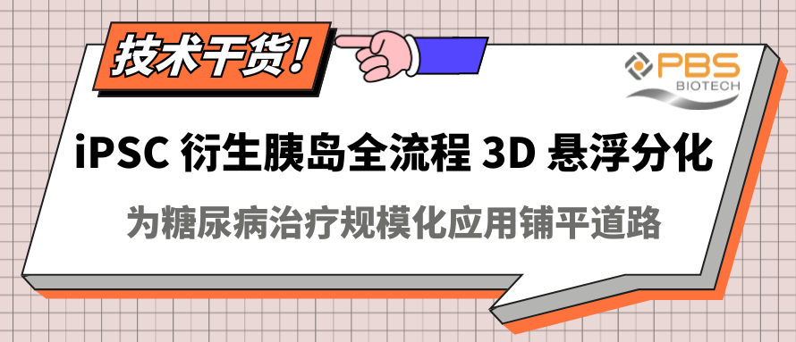 iPSC衍生胰岛全流程3D悬浮分化：为糖尿病治疗规模化应用铺平道路