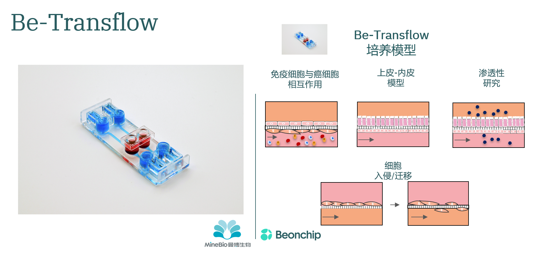 Be-Transflow微流控芯片