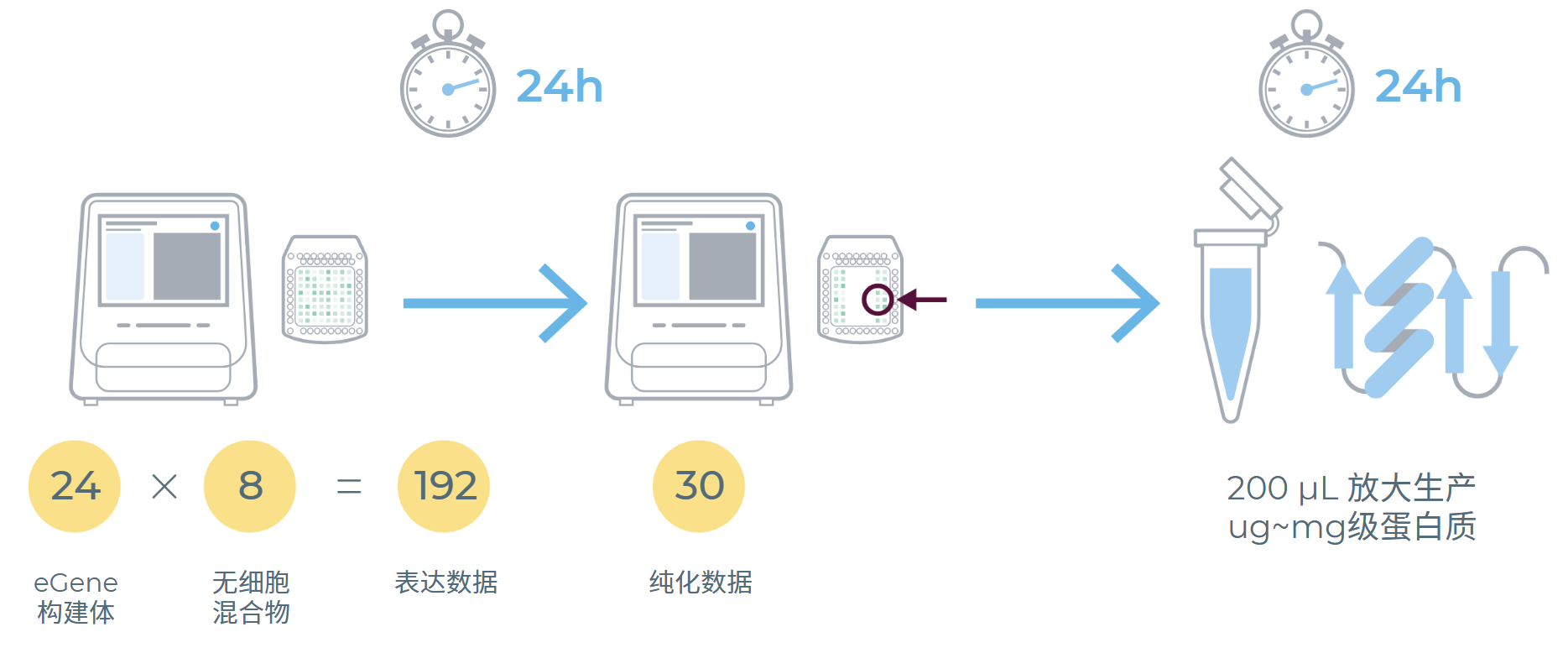 eProtein Discovery工作流程