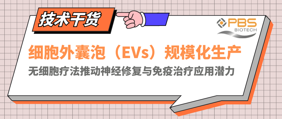 细胞外囊泡（EVs）规模化生产，无细胞疗法推动神经修复与免疫治疗应用潜力