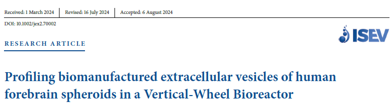 对在垂直轮生物反应器中生物制造的人前脑类球体衍生细胞外囊泡进行特征分析