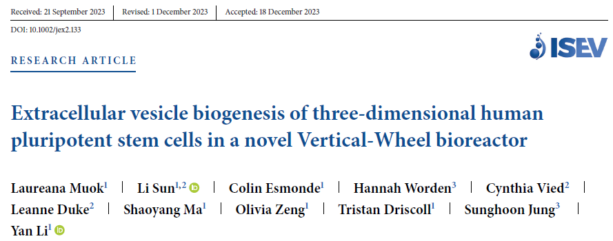 在垂直轮式生物反应器中3D培养人类多能干细胞生成细胞外囊泡EVs