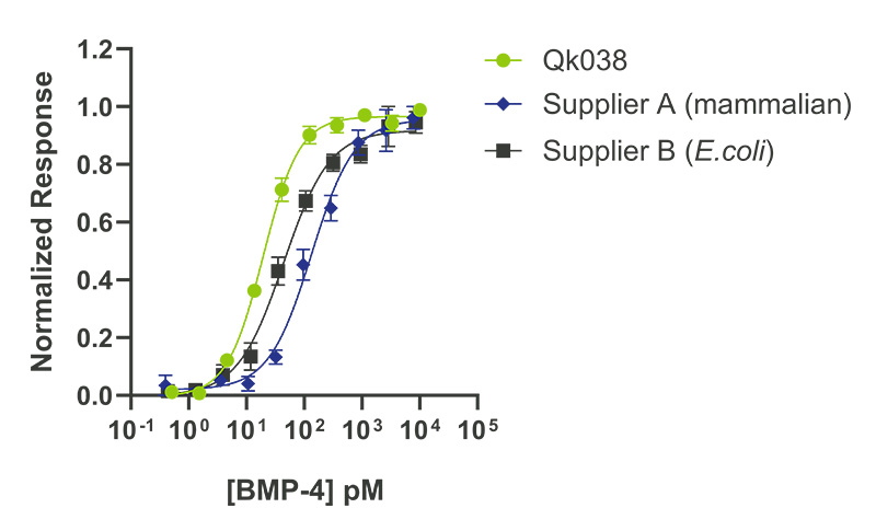 Qkine BMP-4的生物活性高于其他供应商的细菌和哺乳动物表达的BMP-4
