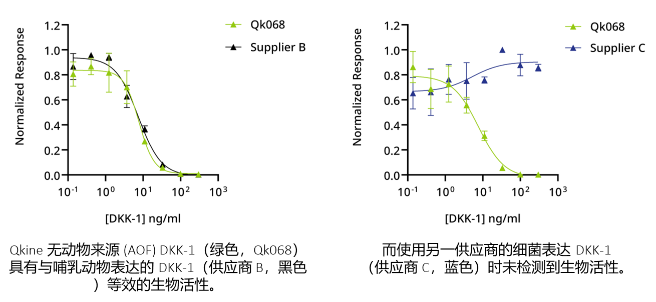 Qkine高生物活性无动物来源(AOF)的 DKK-1