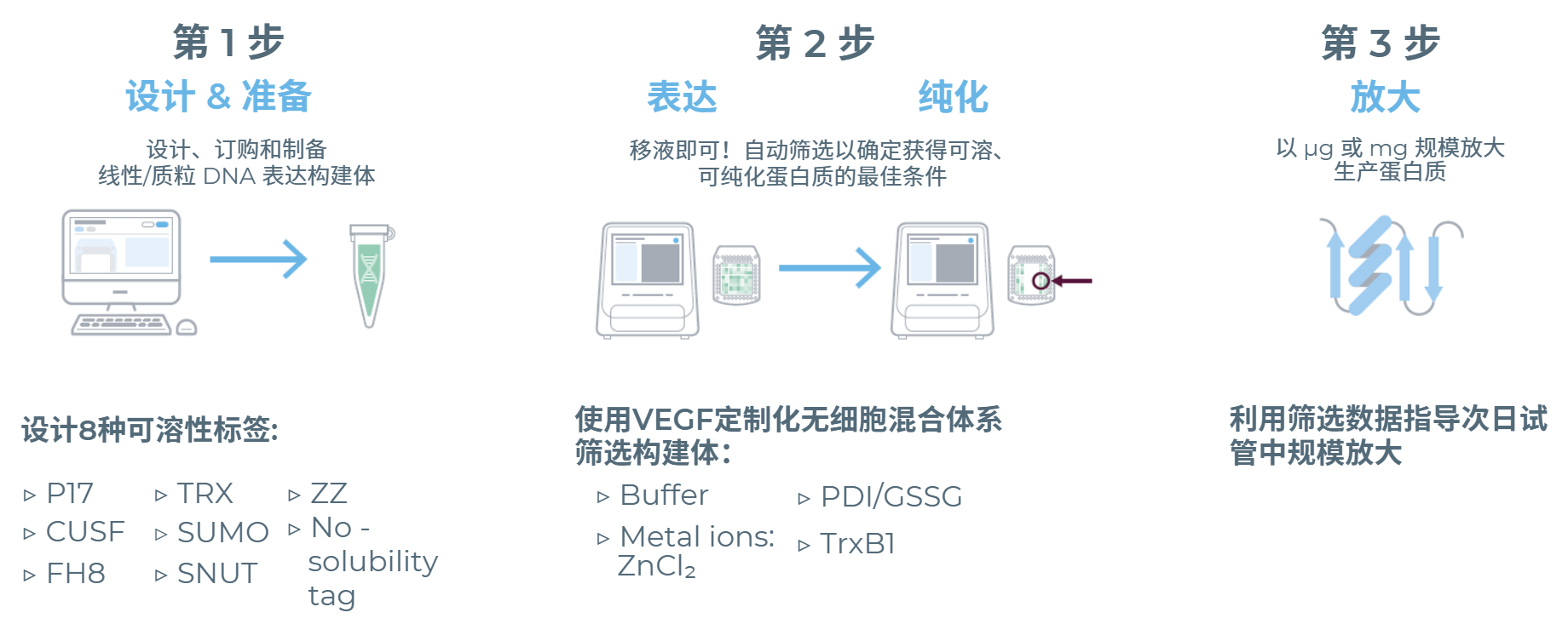 eProteinDiscovery蛋白表达及纯化筛选系统工作流程
