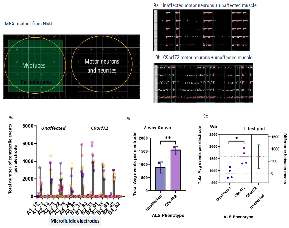 数据误差条表示标准误差（SEM），基于2个芯片上24个生物学独立重复进行肌管引起的收缩性测量