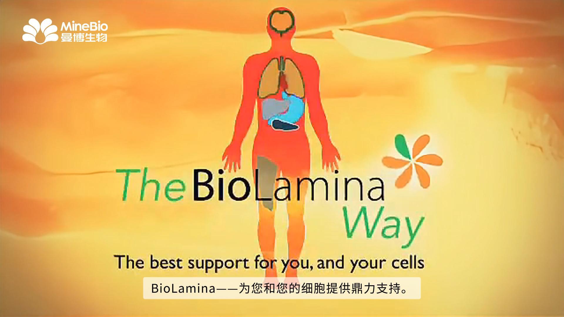 BioLamina全长层粘连蛋白：存在于人体的天然细胞外基质