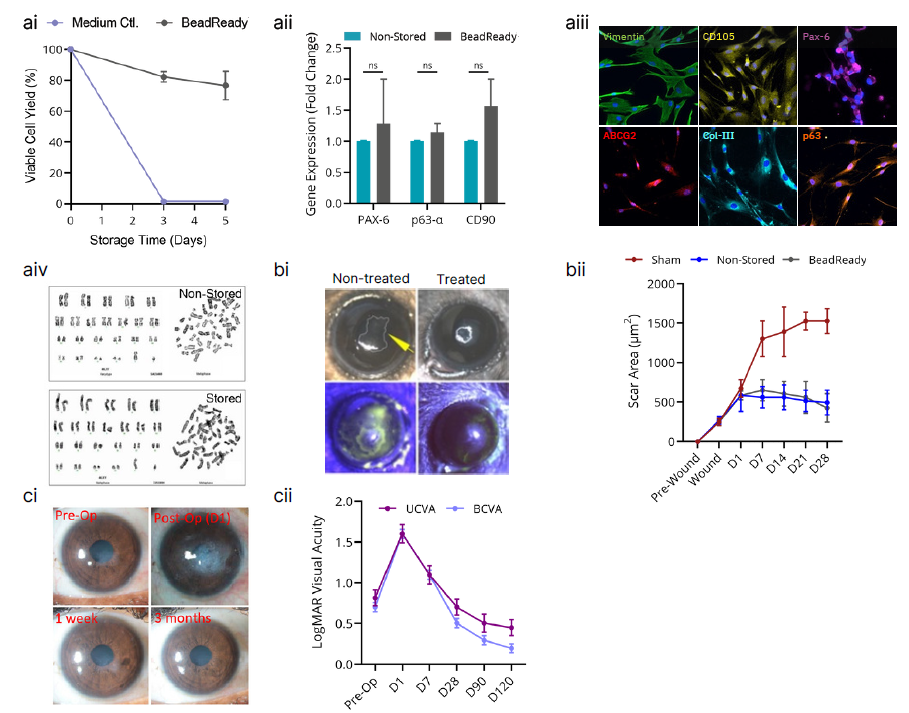 CytoStor保存的角膜缘基质间充质干细胞（LS-MSCs）—体外、体内和首次临床应用