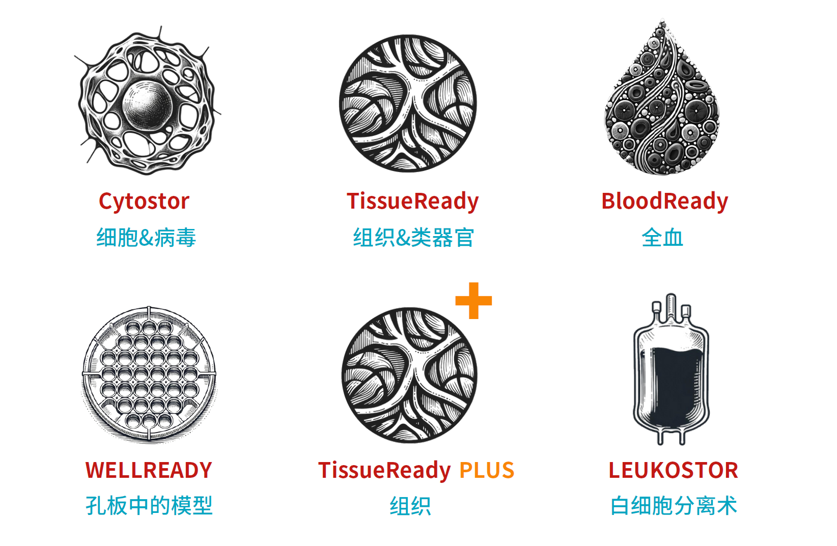 Atelerix品牌热卖6大系列产品，在超过70多种生物样本中经过验证