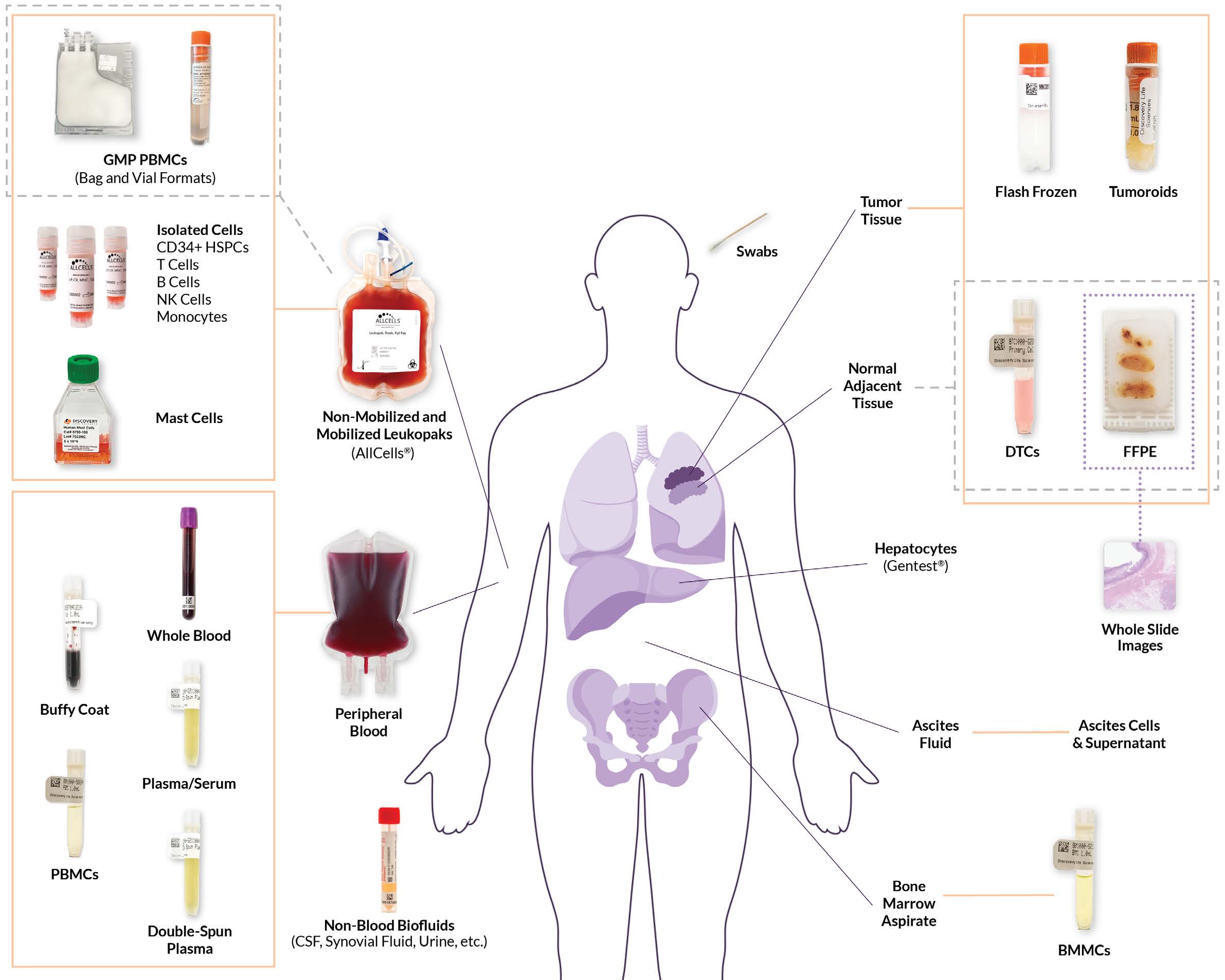 DLS生物样本解决方案