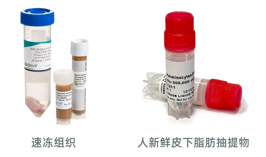 BioIVT提供速冻组织与人新鲜皮下脂肪抽提物