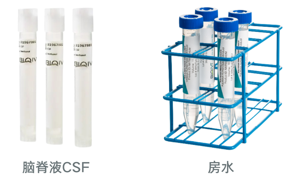 BioIVT提供脑脊液CSF和房水