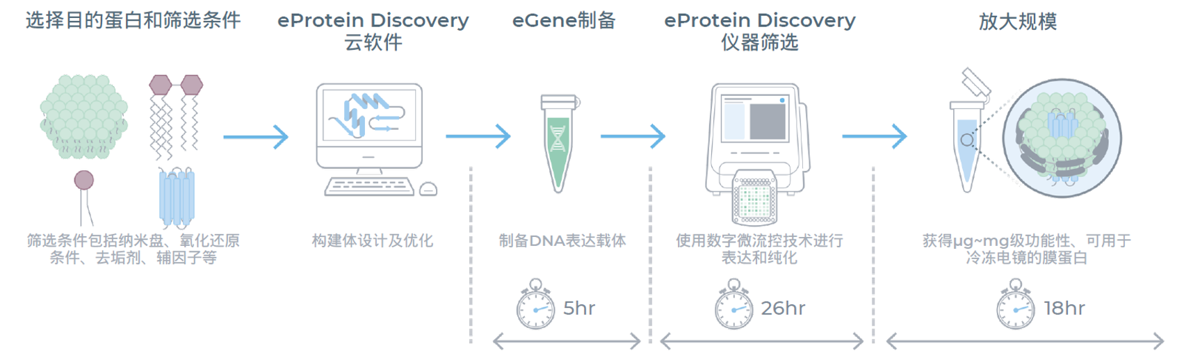 eProtein Discovery系统膜蛋白生产工作流程