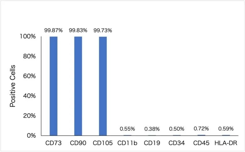 ADMSCs表面标志物分析