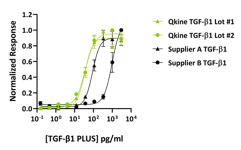 使用 TGF-β1 反应性 (CAGA) 萤火虫荧光素酶报告基因，在瞬时转染的 HEK293T 细胞中测定生物活性