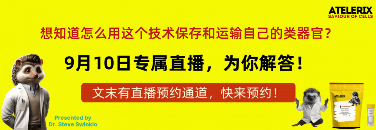 Atelerix水凝胶厂商9月10日专场直播