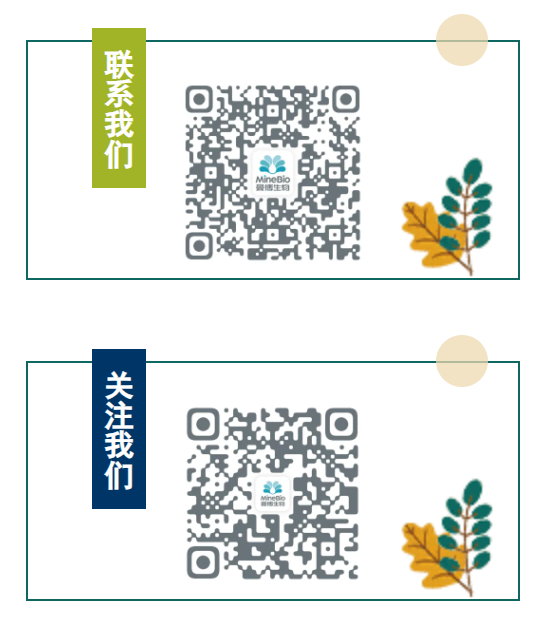 人原代肝细胞相关问题欢迎咨询上海曼博生物