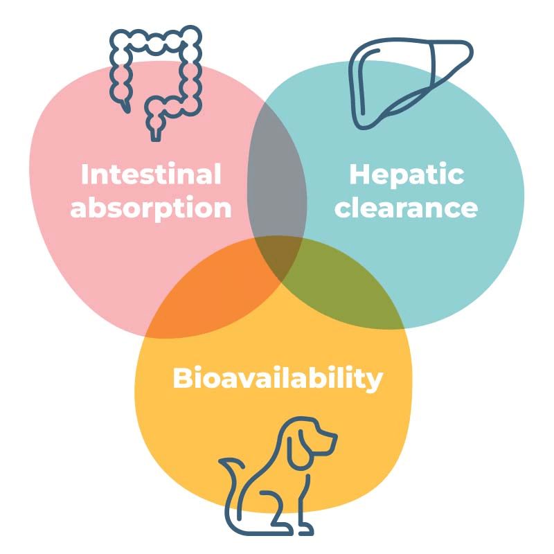 PhysioMimix微流控器官芯片的三大优势