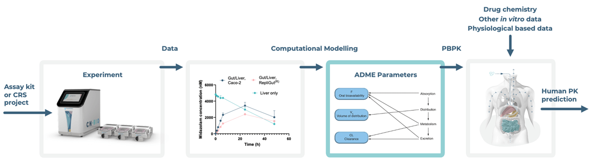 CN Bio PhysioMimix生物利用度检测试剂盒及其计算工具