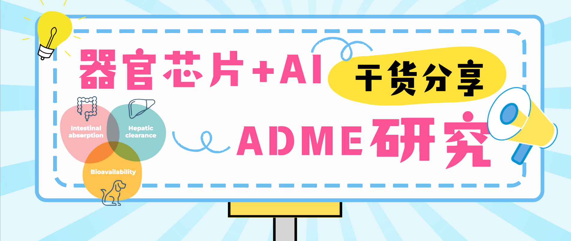 将计算机模拟工具与器官芯片集成，推进类器官ADME研究