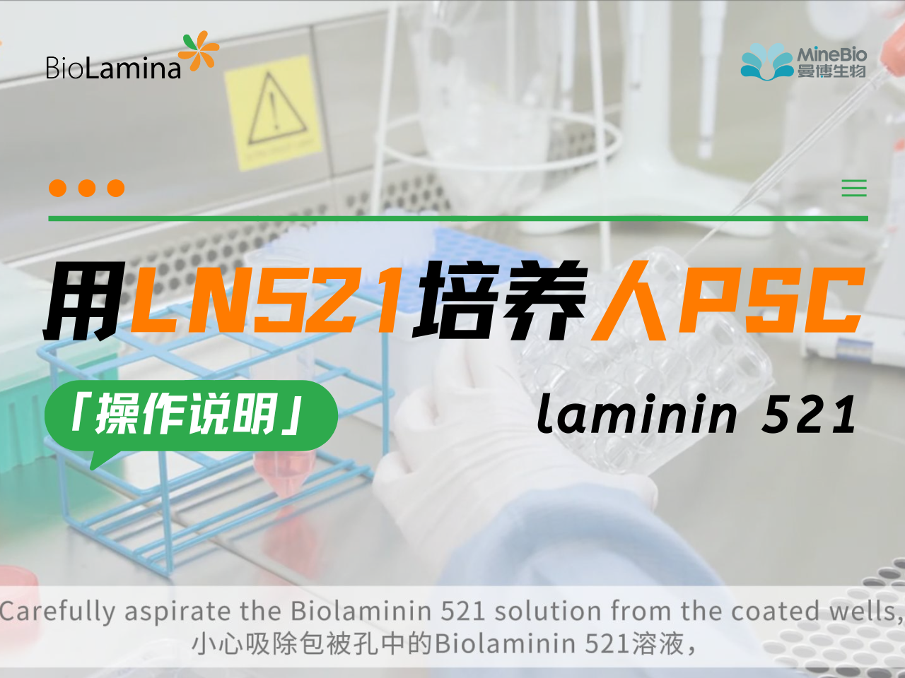 操作演示 | 人PSC多能干细胞在人重组层粘连蛋白LN521上进行细胞培养
