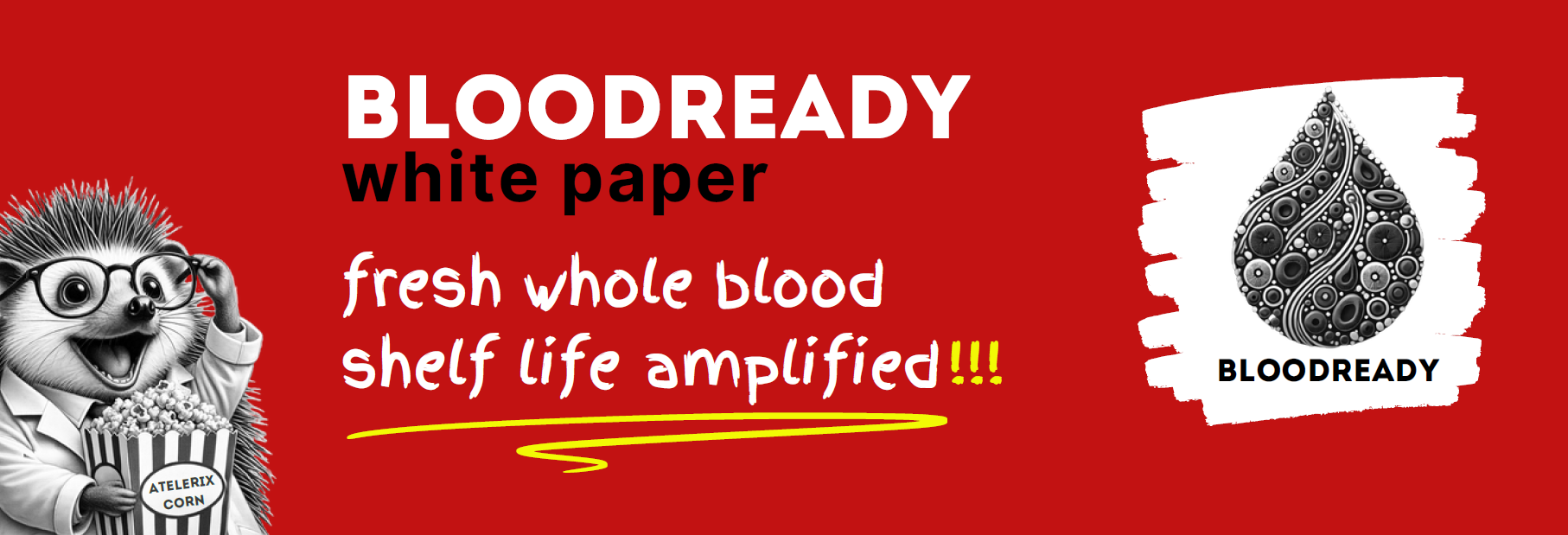 BloodReady全血保存数据白皮书
