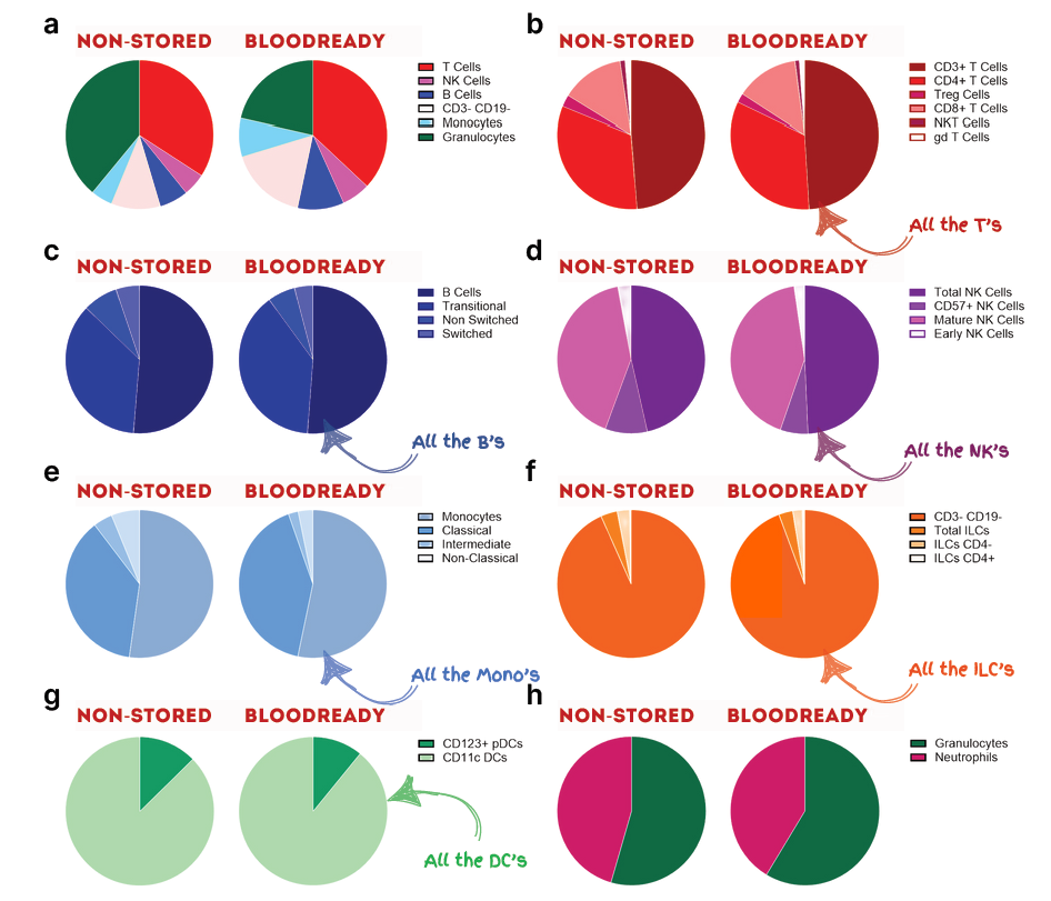 使用BloodReady保存全血免疫细胞群体