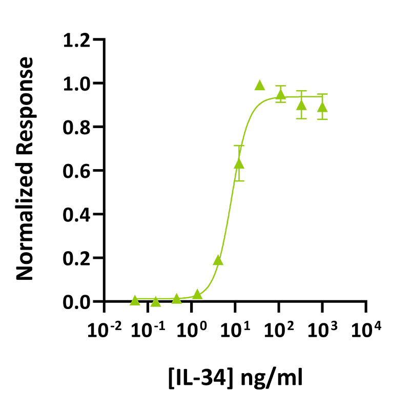 Qkine IL-34 PLUS白介素活性