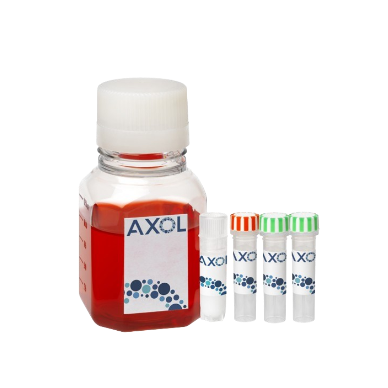 iPSC来源神经元和心肌细胞