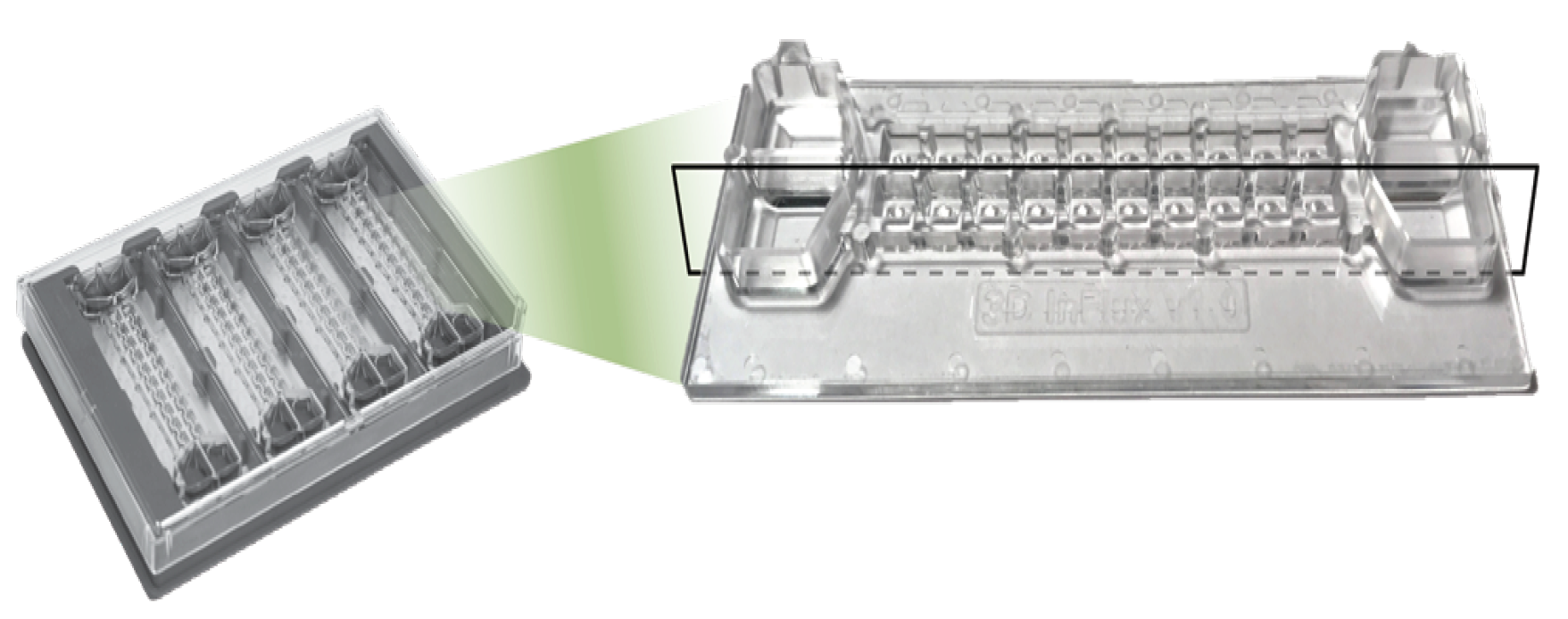 InSphero 3D微球织模型